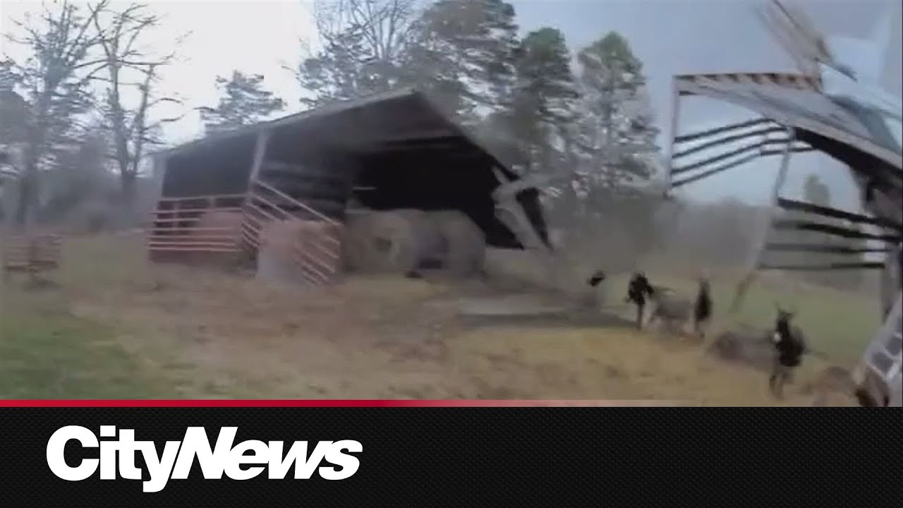 Tornado sweeps up barn, donkeys flee from powerful winds