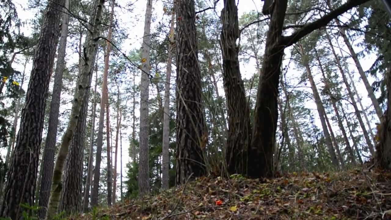 Lucka 7, 2011, Likboden på Skogskyrkogården