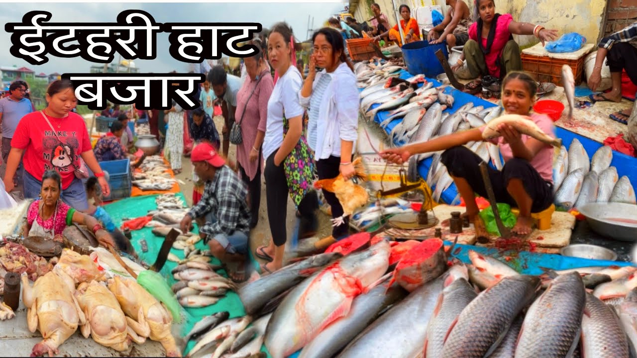 ITAHARI HAT BAZAR SUNSARI🇳🇵 Fish Market in Nepal🐟धेरै माछा बीक्री हुने पुर्वकै मुटु शहरको हाट बजार😱