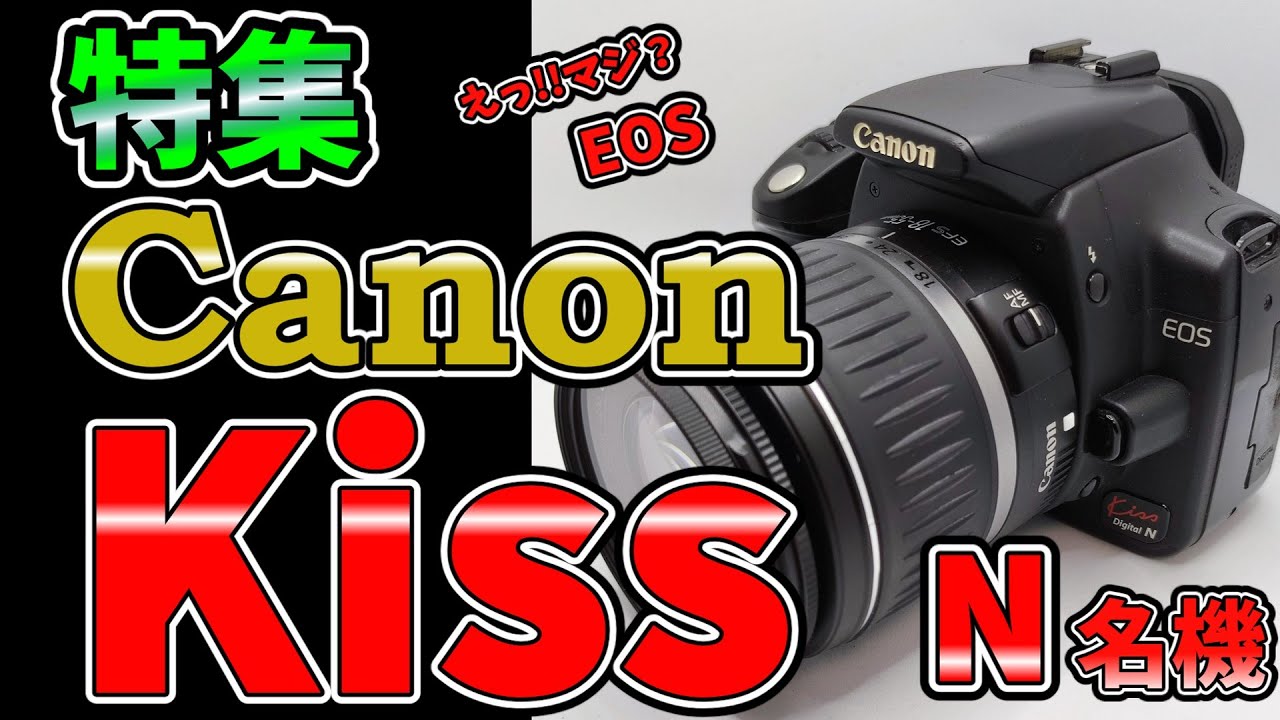 【特集】Canon EOS Kiss Digital Nの名機ぶりがすごい!!昔のカメラでこんなに撮れる！EOS KISS digital Nの実力を紹介