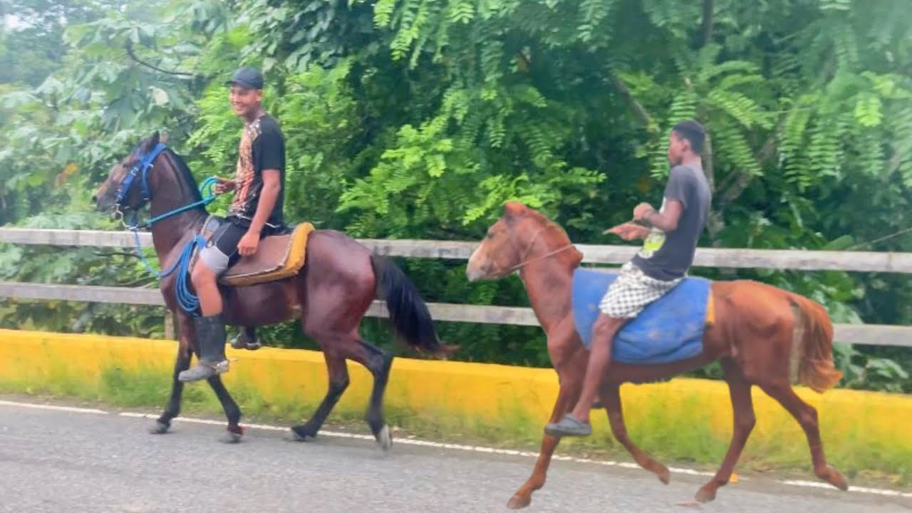 HAGO OTRA MINI MONTA EN MI CABALLO 🐎 ACOMPAÑADO DE UN AMIGO 🧔