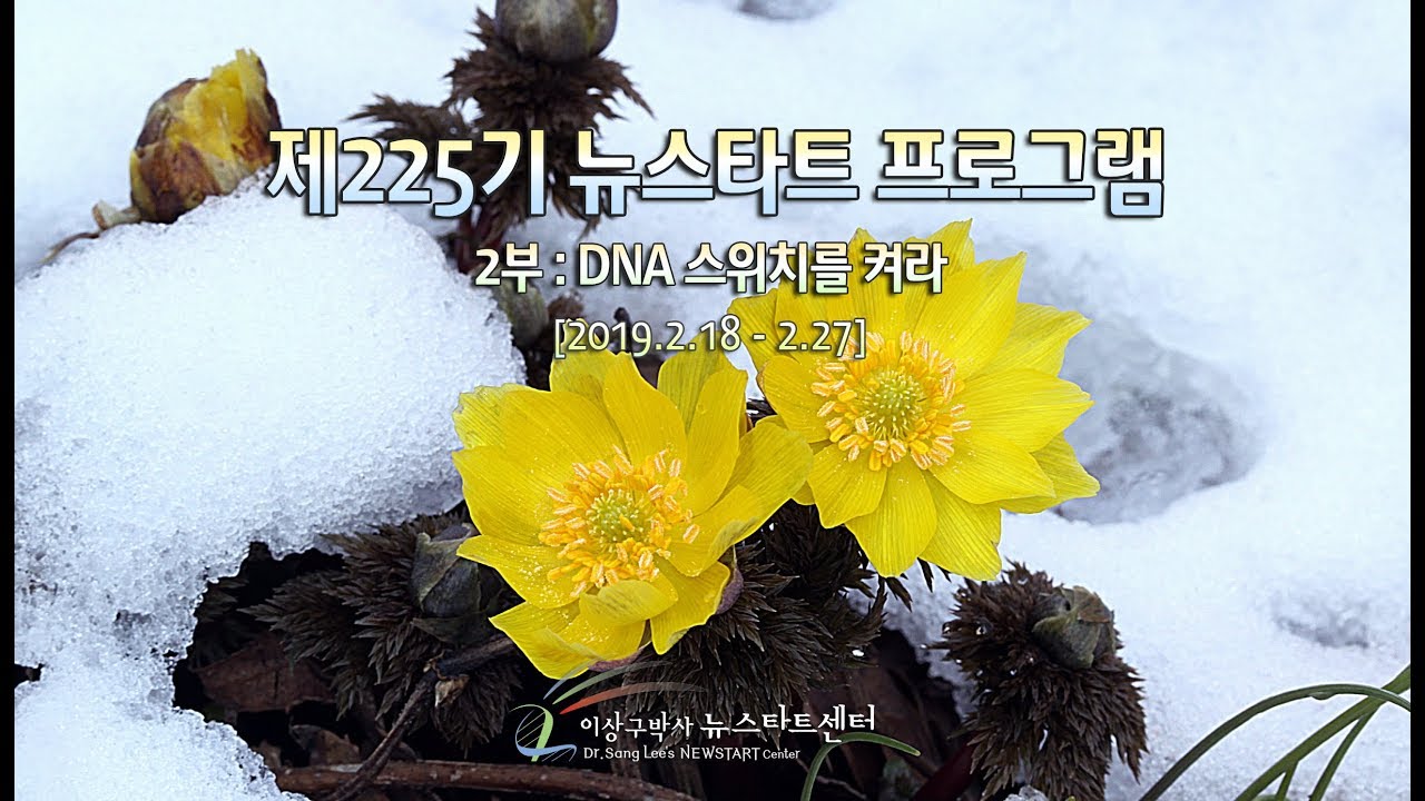 H225 16 열 재앙에 나타난 사랑