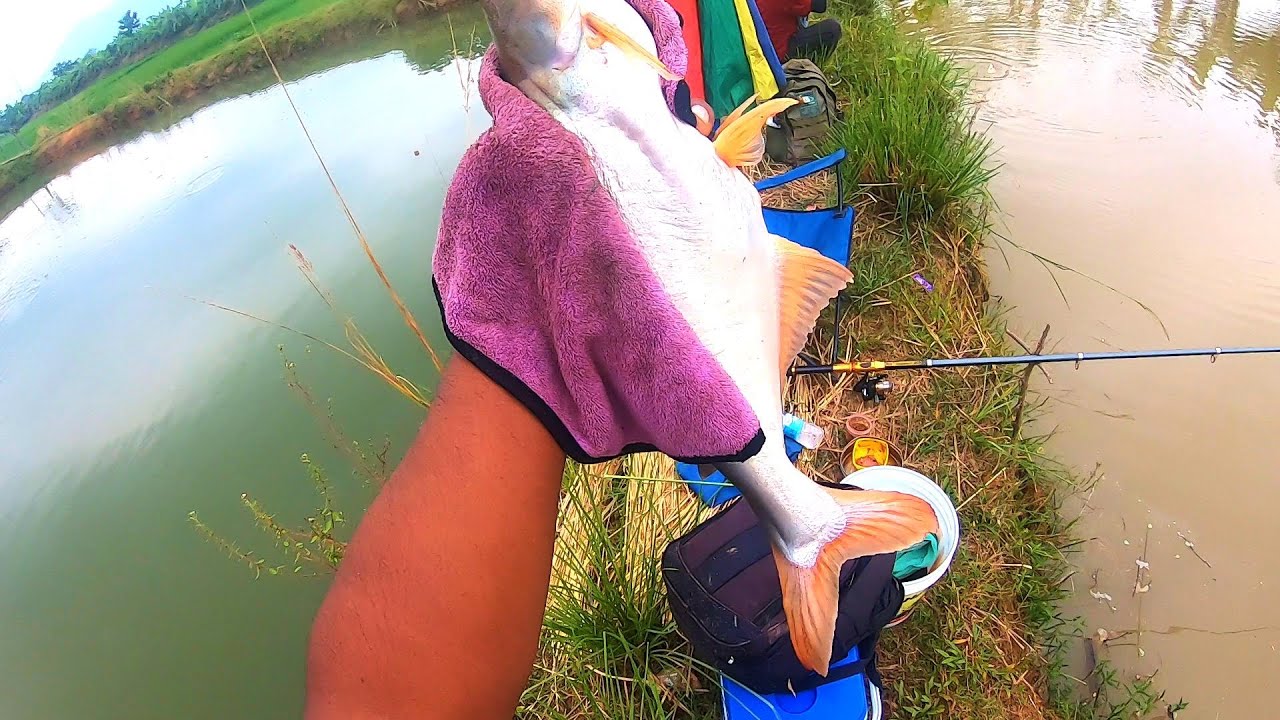 #FISHING #ASSAM HASEN ALI