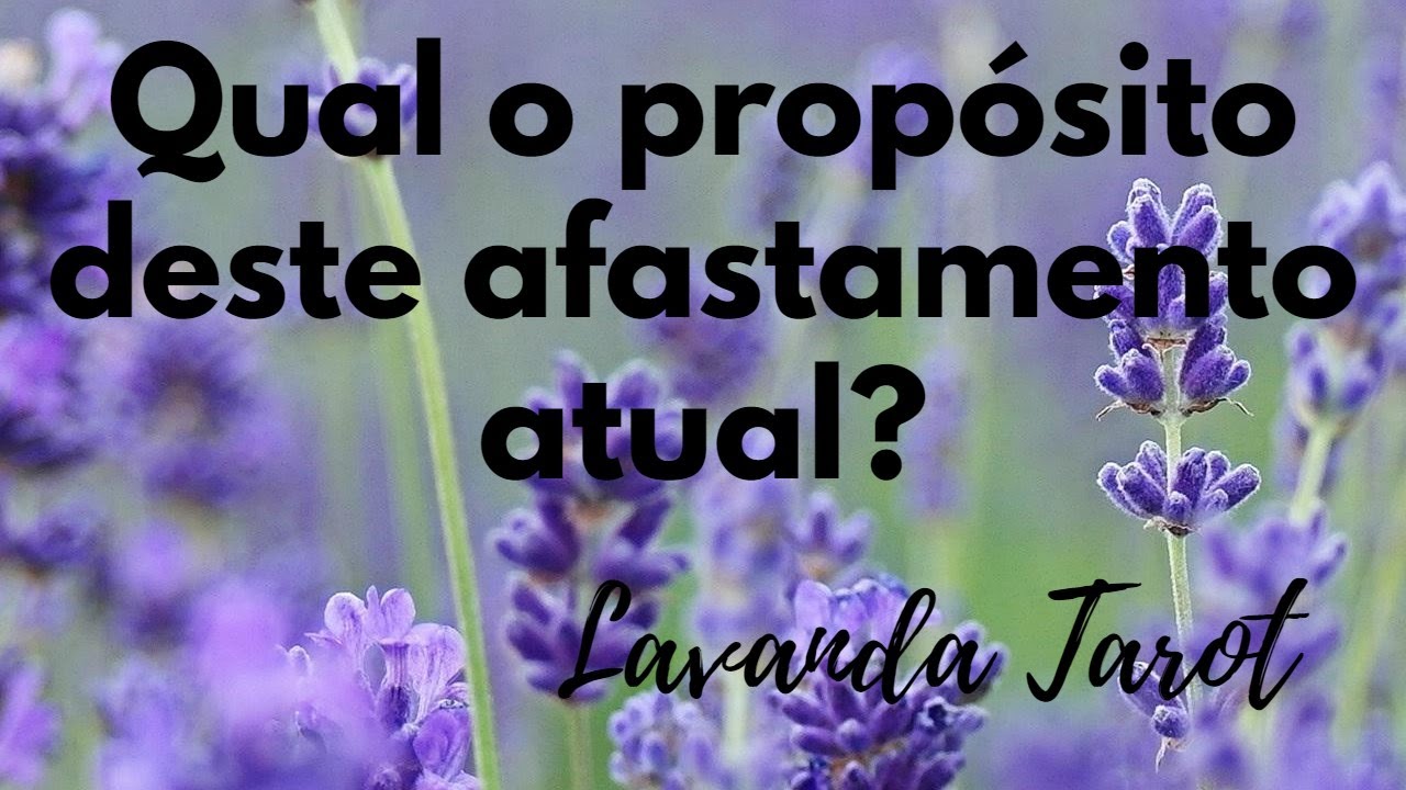 #tarot Qual o propósito deste afastamento atual?