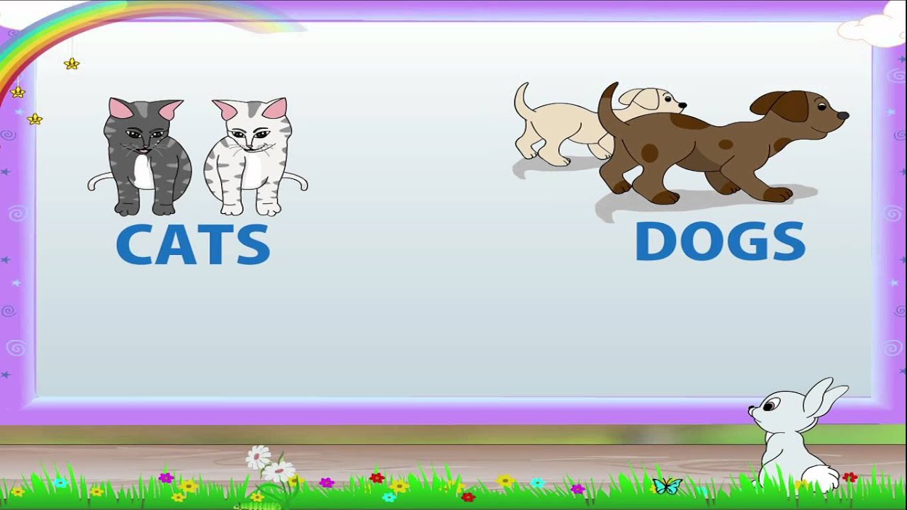 Learn Grade 3 - English Grammar -  Animals and their Homes
