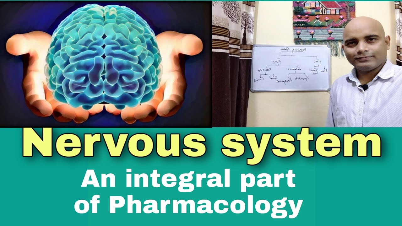 Nervous system basic concepts for pharmacology