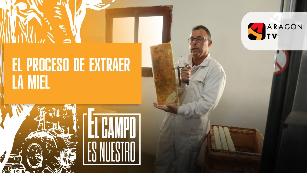 El proceso de extraer la miel | Daniel y Yaiza Gimeno