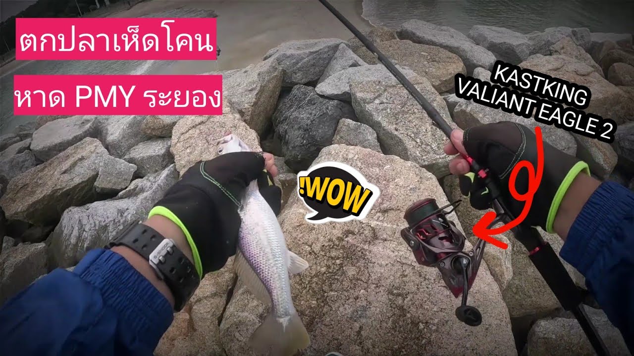 ตกปลาเห็ดโคน หาด PMY ระยอง หลังฝนตกกินดีจัด