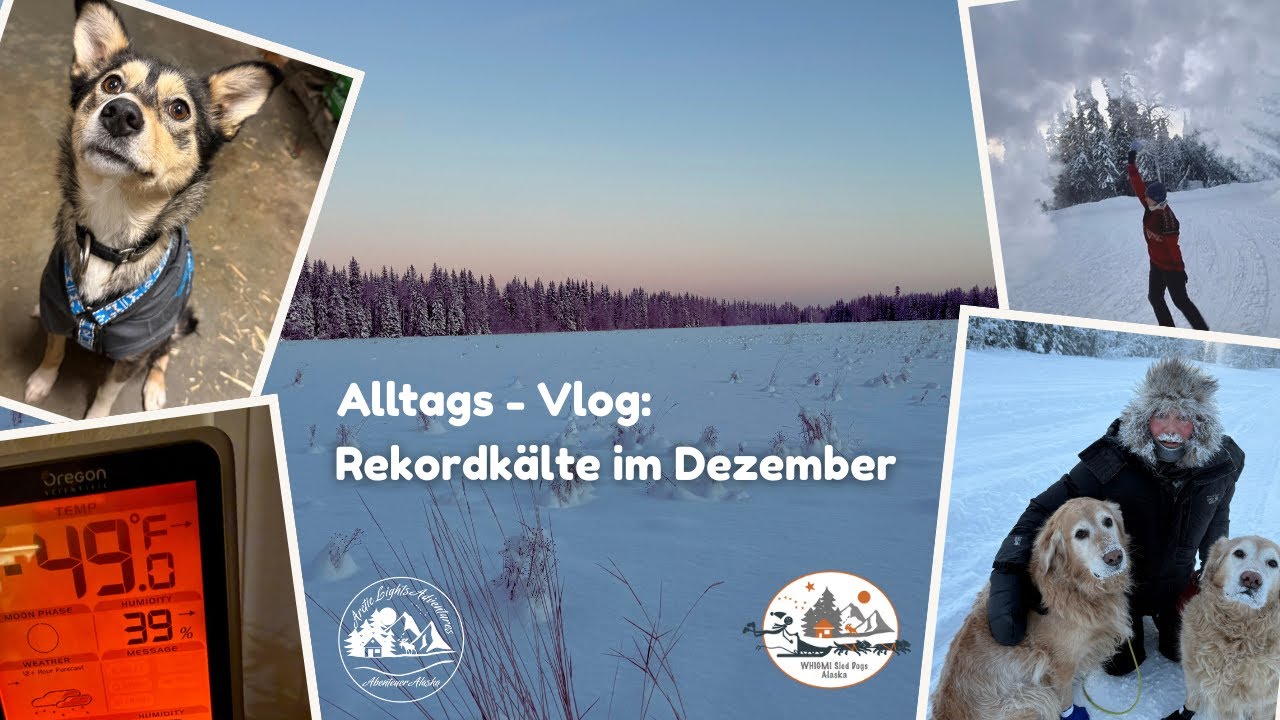 Alltag bei -40C - Rekordkälteperiode im Dezember -