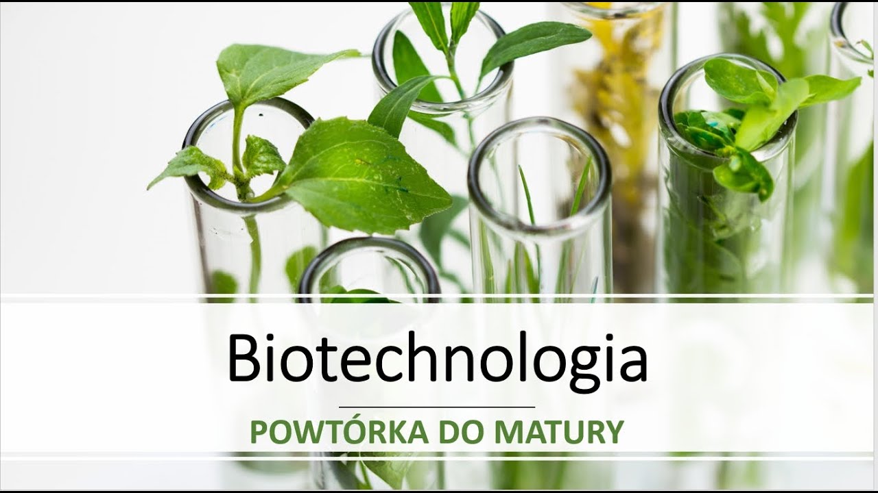BIOTECHNOLOGIA | POWTÓRKA DO MATURY 2020