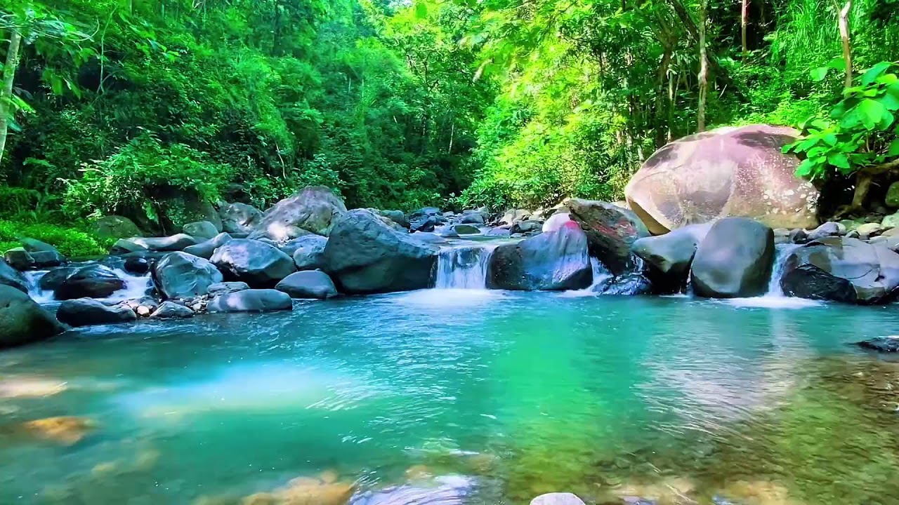 Mountain Water Stream Calm Flow, Forest River Sounds, Sleeping