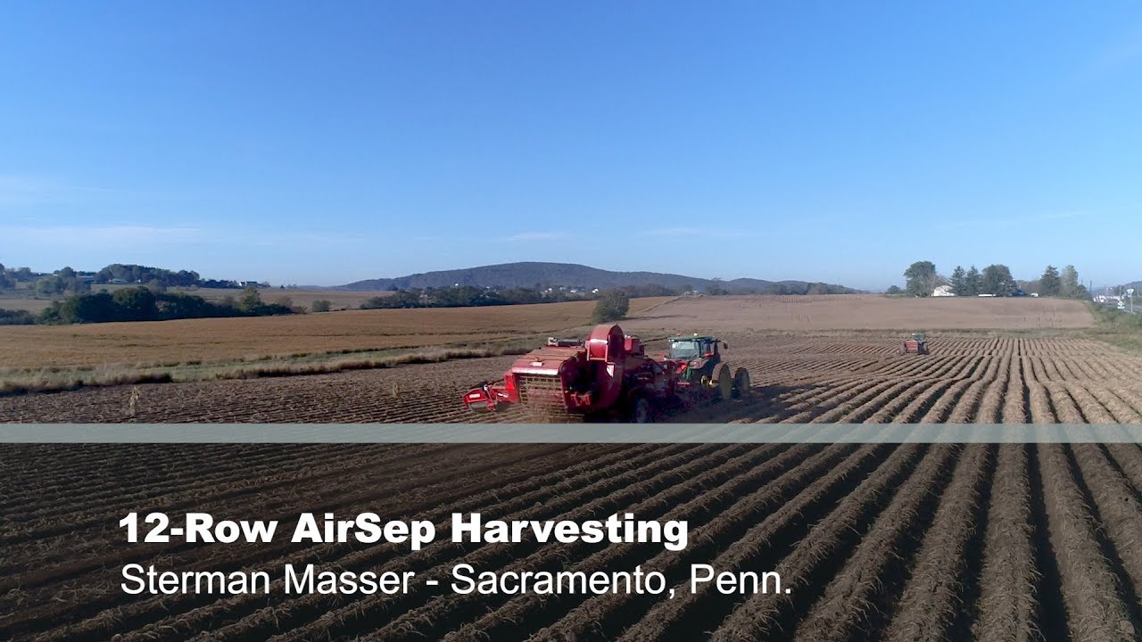 Sterman Masser - 12-Row AirSep Harvesting