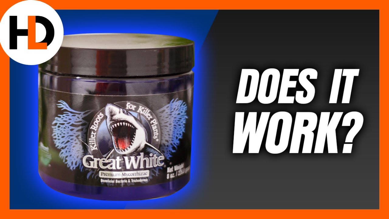 Great White Results: SHOCKING Plant Growth!