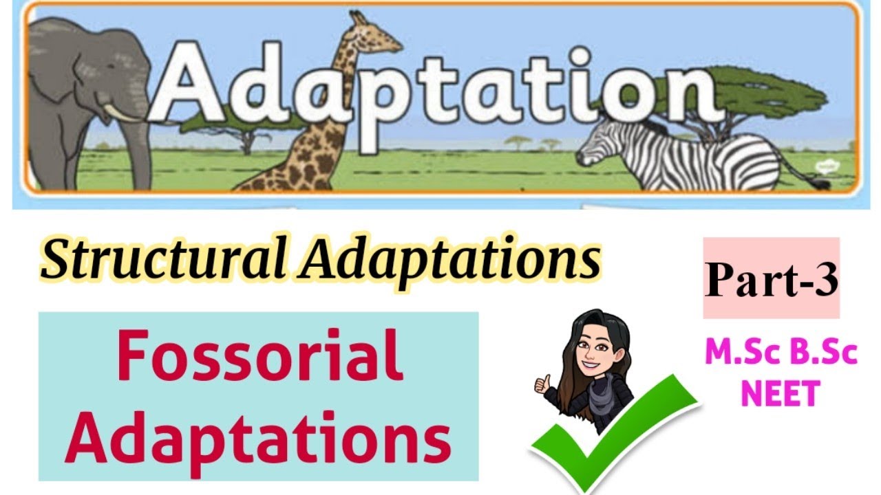 Structural adaptations- Fossorial adaptations |part-3|types of adaptations|M.Sc B.Sc zoology student