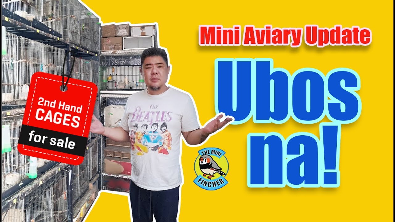 Ep.88: Quick Aviary Update