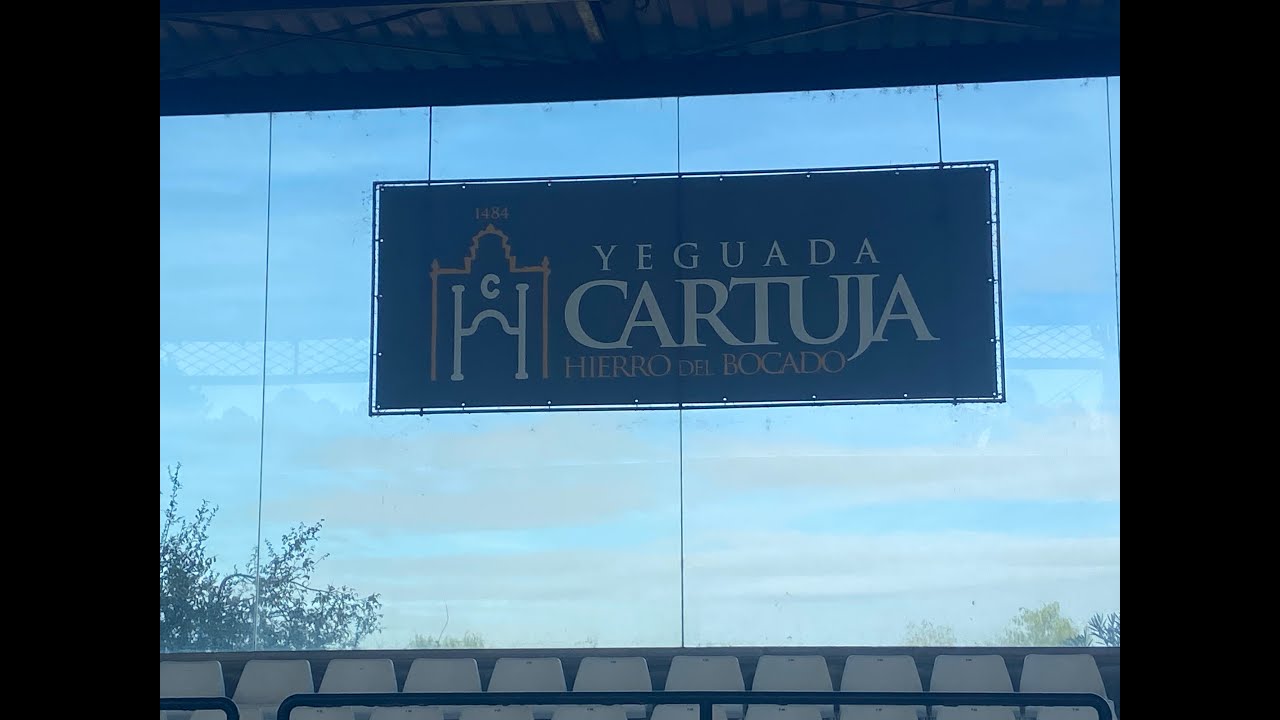 La yeguada de la Cartuja   SD 480p