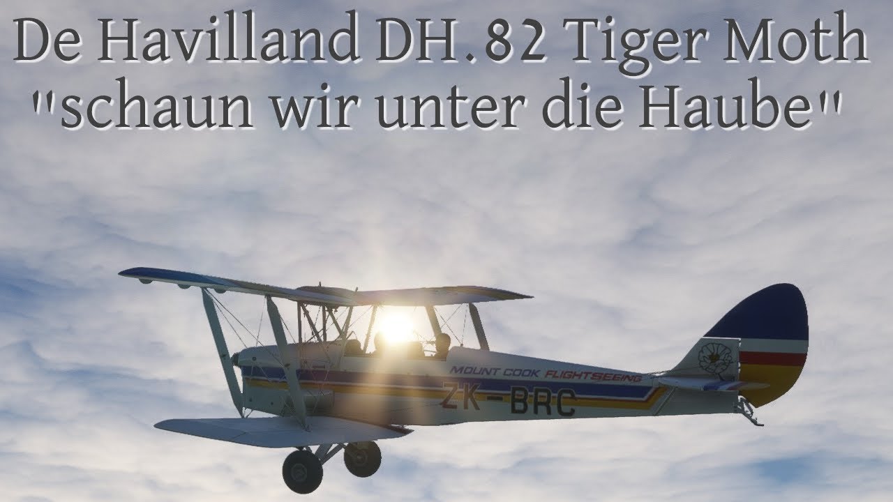 De Havilland DH.82 Tiger Moth | Schönes Kaufflugzeug | MSFS
