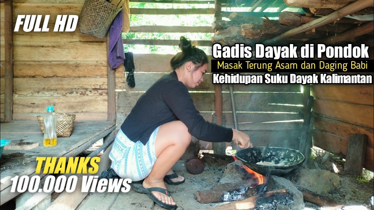 🔴Gadis Dayak Masak Terung Asam dan Daging Babi di Pondok Hutan | Kehidupan Suku Dayak Kalimantan