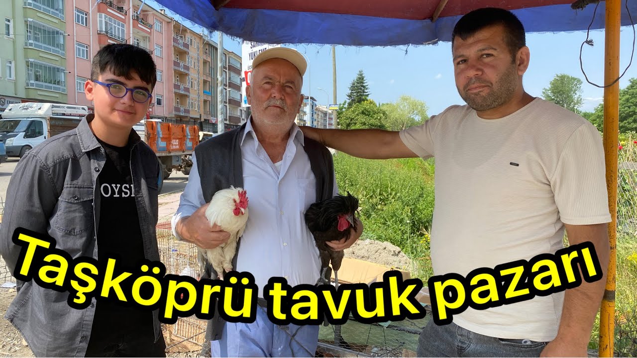 Taşköprü tavuk pazarında birbirinden ilginç muhabbetler pazarlıklar pazar cıvıl cıvıl  ￼17/02/2025