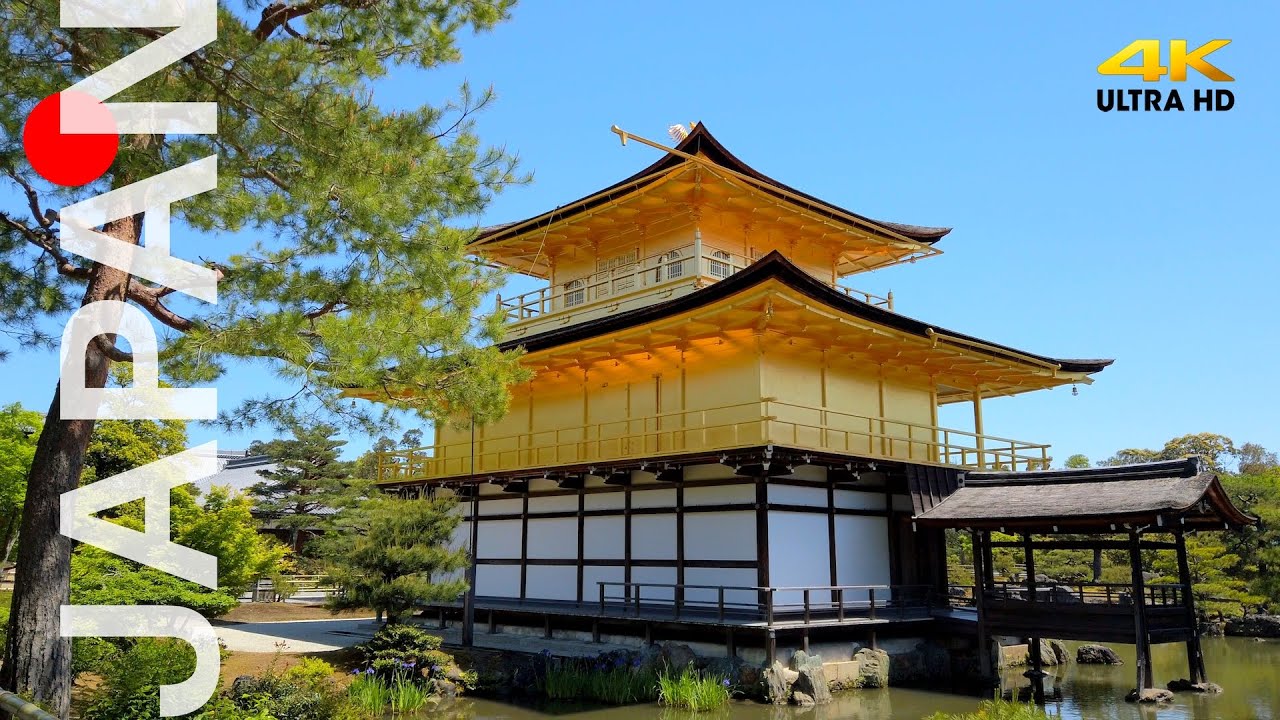 Kyoto Walking Tour [4K] 🇯🇵 Golden Pavilion 