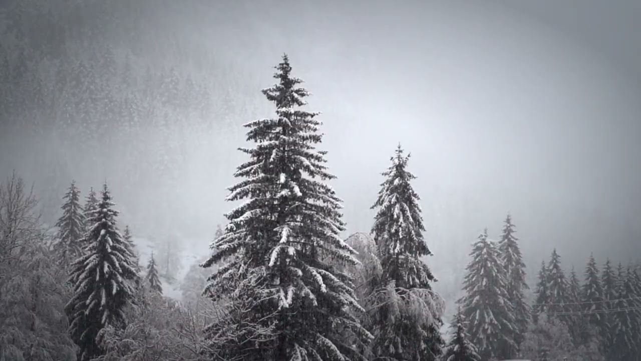 Snowfall#meditationmusic #nature relaxing