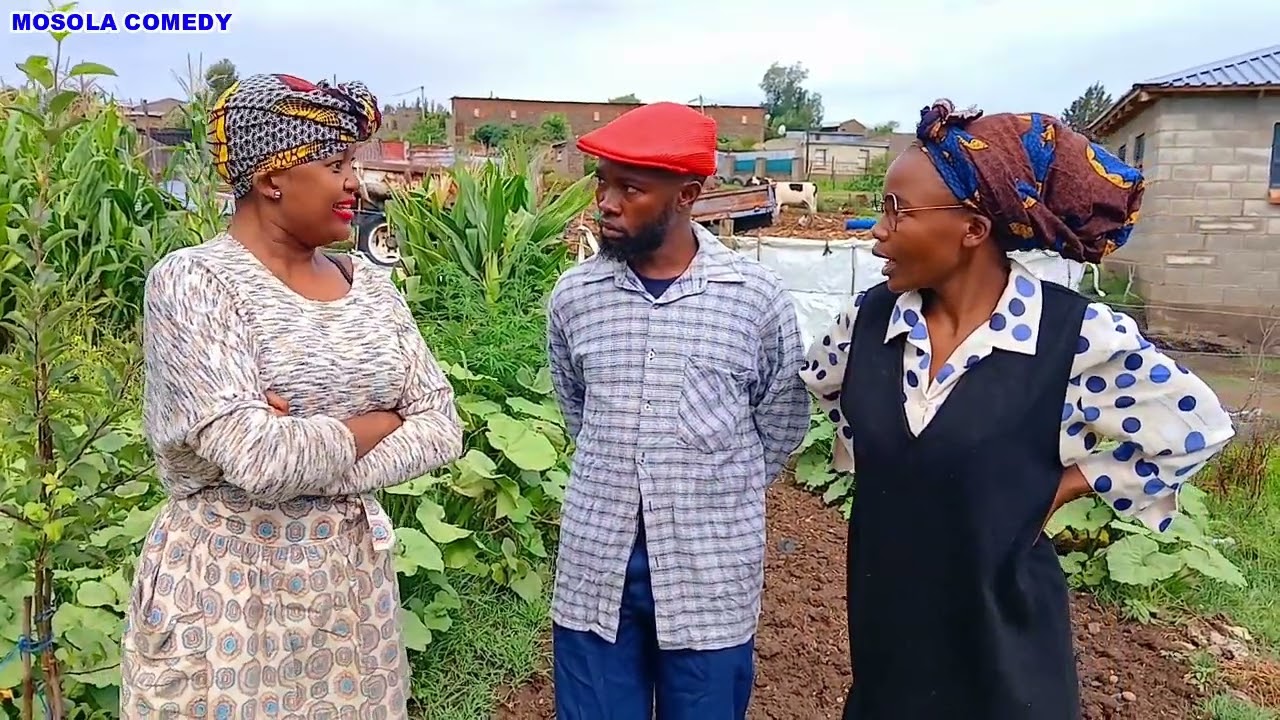 Borena (MosolaComedy) (Episode01 - S02)
