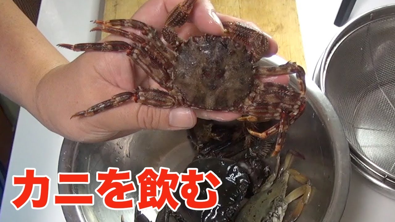 【力こそパワー】カニを砕いて飲む