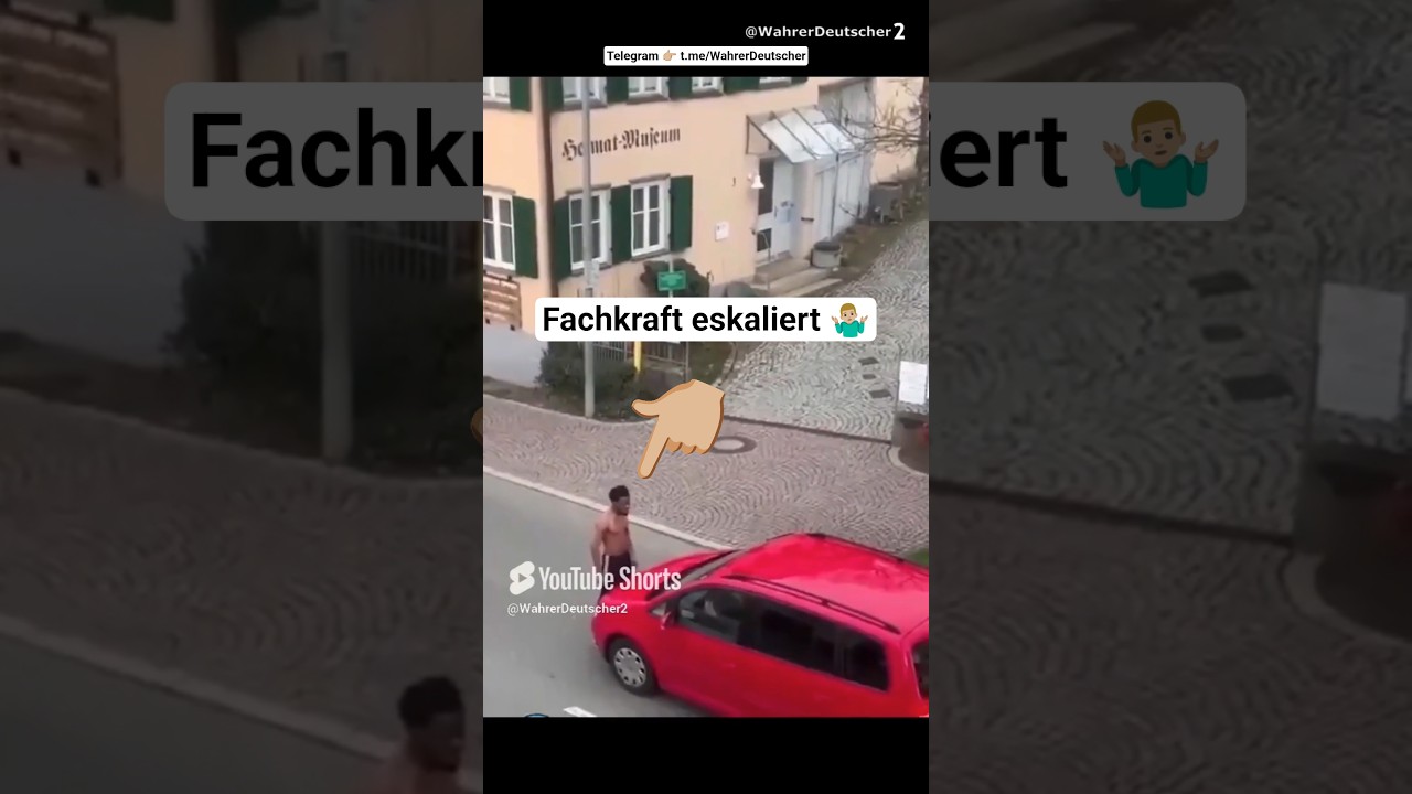 Fachkraft bringt sich ein 👍🏼 #afd #deutsch #deutschland #shorts #politik #satire #lustig #ytshorts
