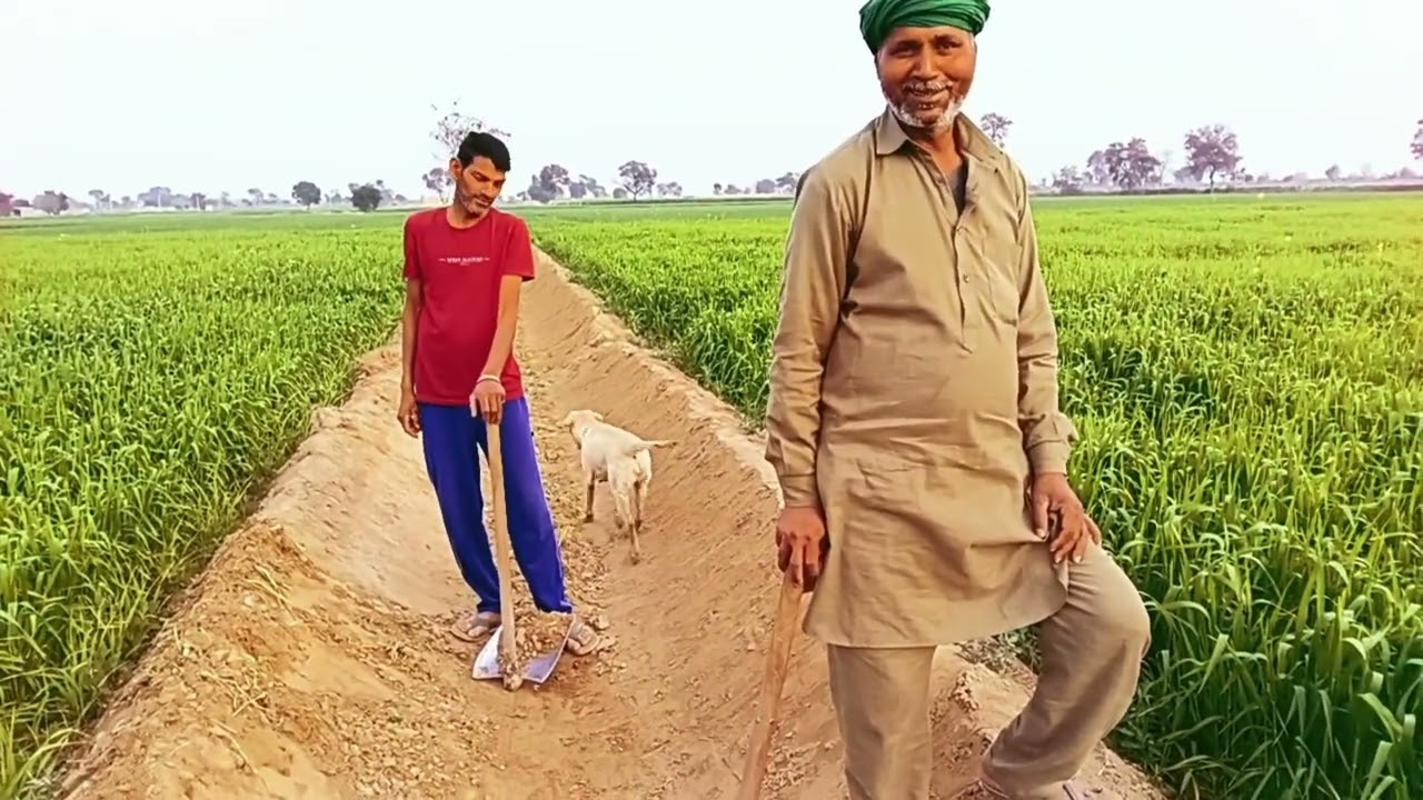खेत गो कच्चों खालो तेयार कर दिओ 