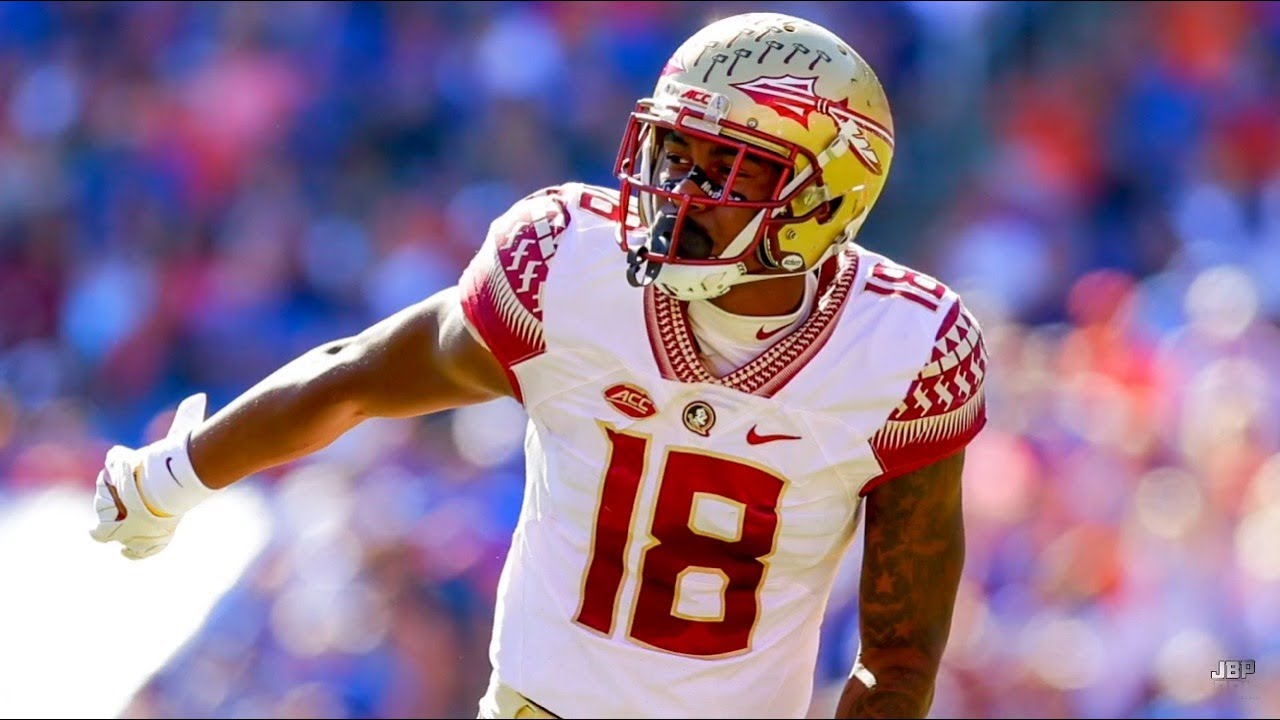 Redzone Nightmare || Florida State WR Auden Tate 2017 Highlights ᴴᴰ