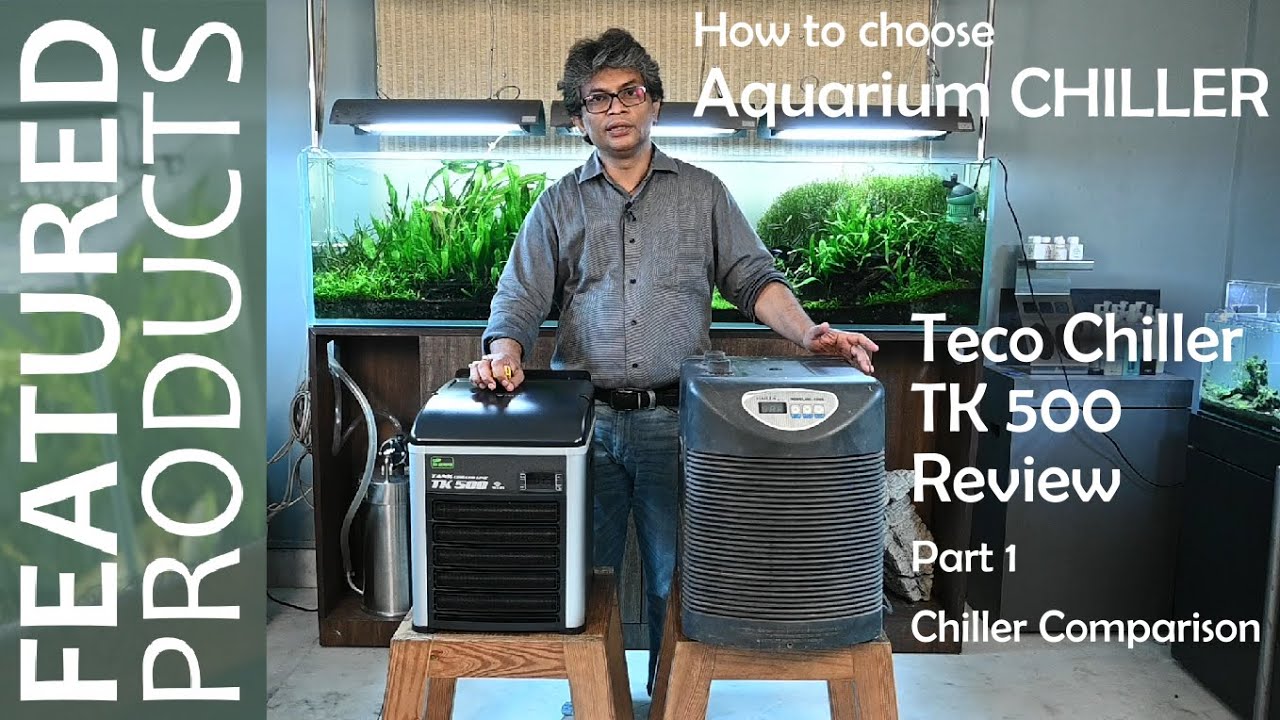 How to choose an aquarium chiller? || Teco Chiller TK 500 Review (Part 1) || Chiller Comparison