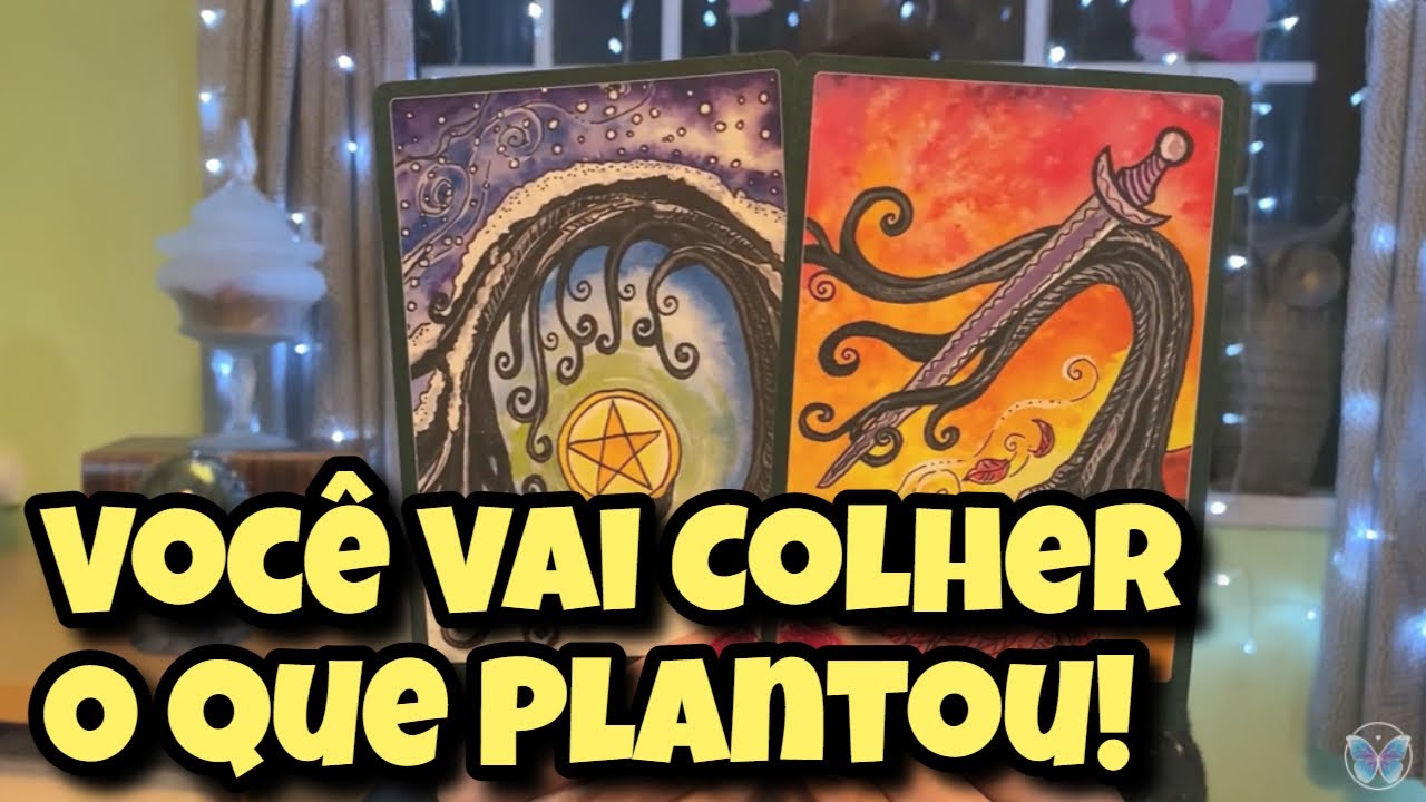 Você Vai Colher O Que Plantou! 💗 Leitura Tarot Oráculos