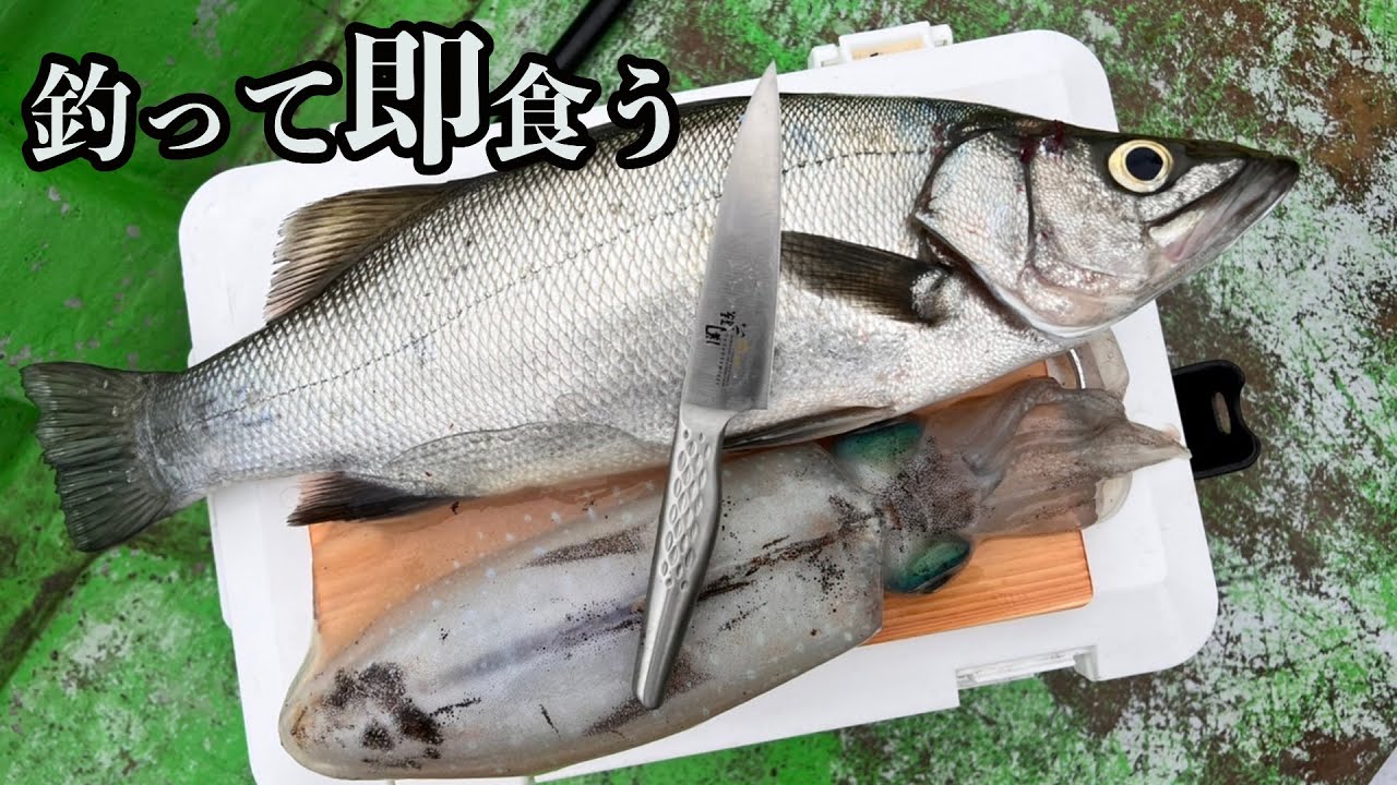 ヤエンで釣った