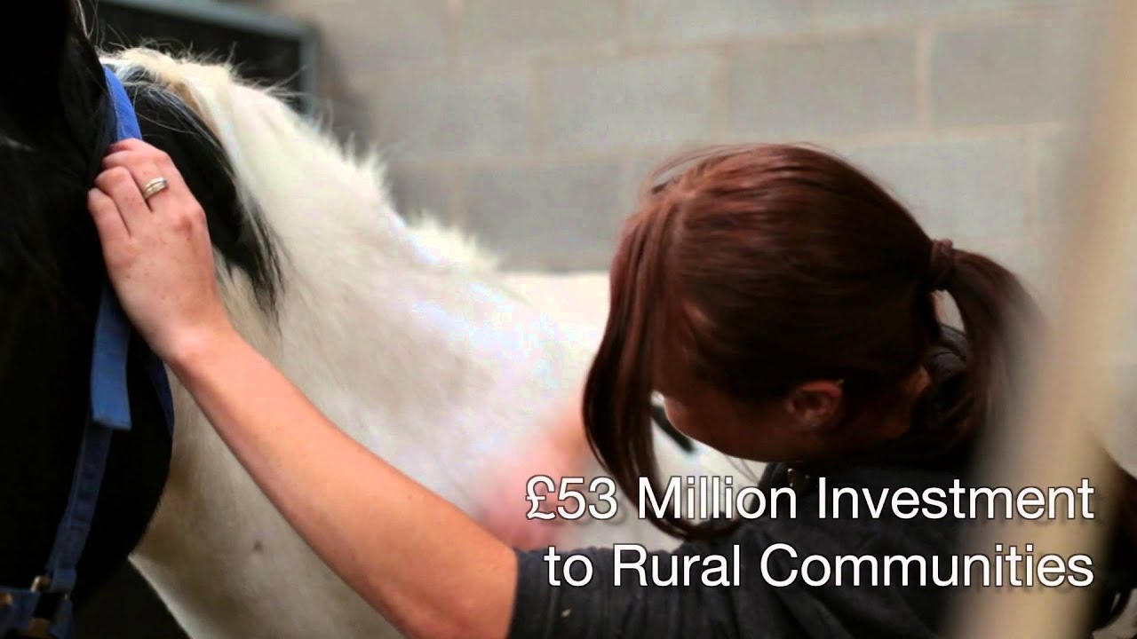 An Overview of the Rural Community Development Support Service