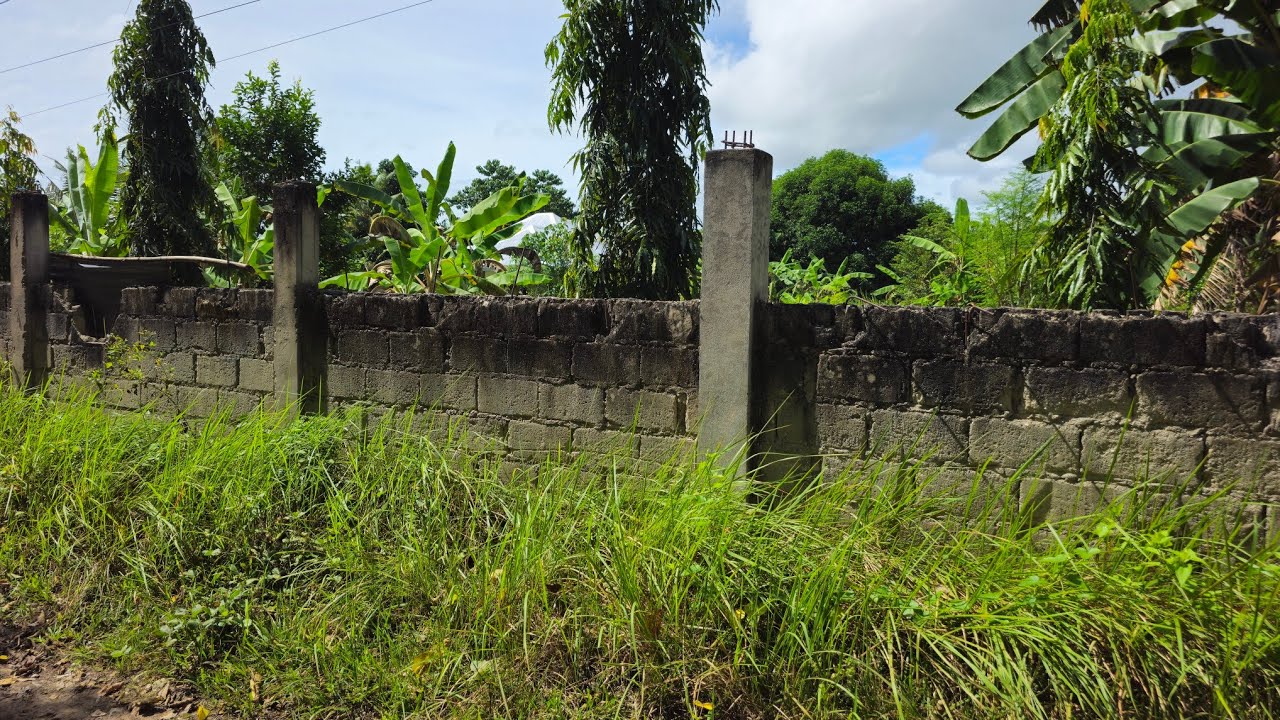 Lot for sale 3,137 sqm clean title at Bien Unido Bohol Philippines 1,000/sqm negotiable