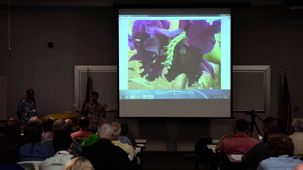 2015 - Keith Davis Part 1 (Growing Better Cattleyas), 5th Annual Cattleya Symposium