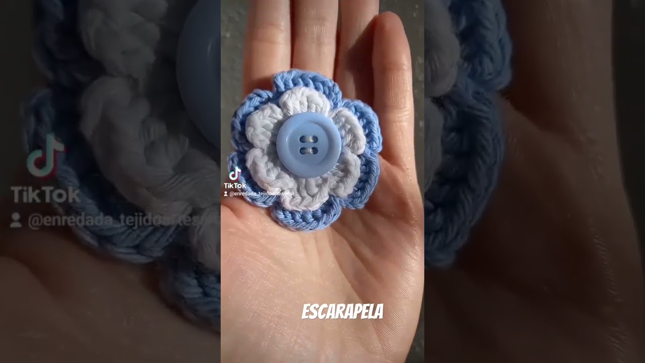 9 de Julio dia de la Independencia      #crochet  #argentina #crocheting #escarapela #9dejulio