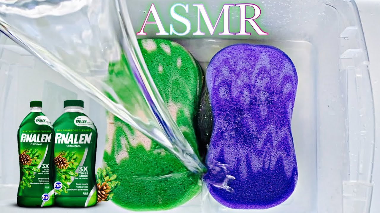 ASMR - SPONGE SQUEEZING ✨Pine Pinalen✨