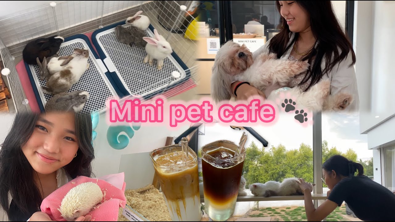 Мы наконец-то посетили Mini Pet Café / Замечательный опыт
