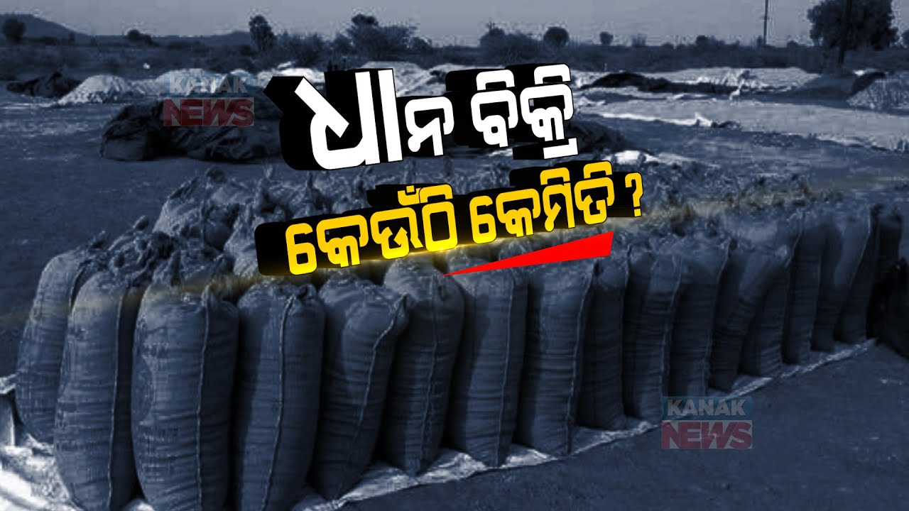 Comparing Paddy Procurement | Chhattisgarh Vs Odisha | Ground Zero Report | Odisha |