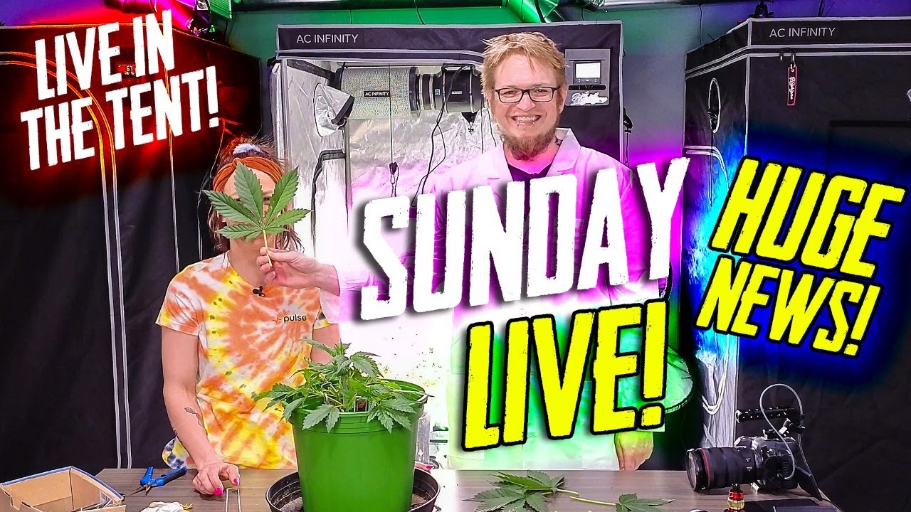 Huge News! Sunday Live! Tent Tour & More! 8pm edt!