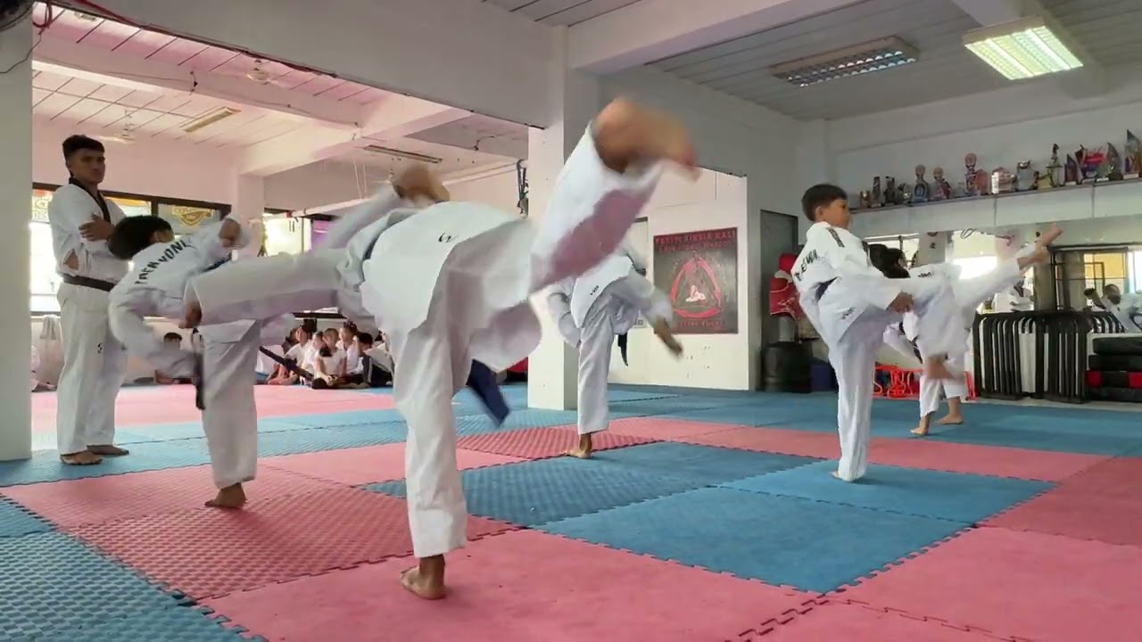 Knights Taekwondo 🥋 