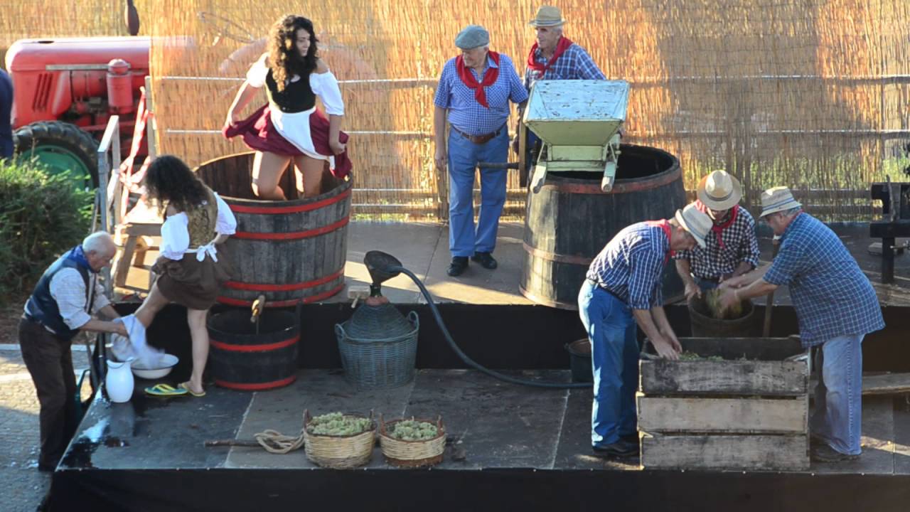 LA PIGIATURA FdU2016