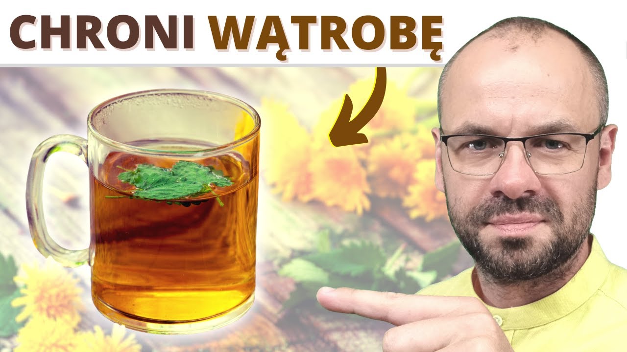 Herbata z mniszka regeneruje WĄTROBĘ, broni przed cukrzycą.