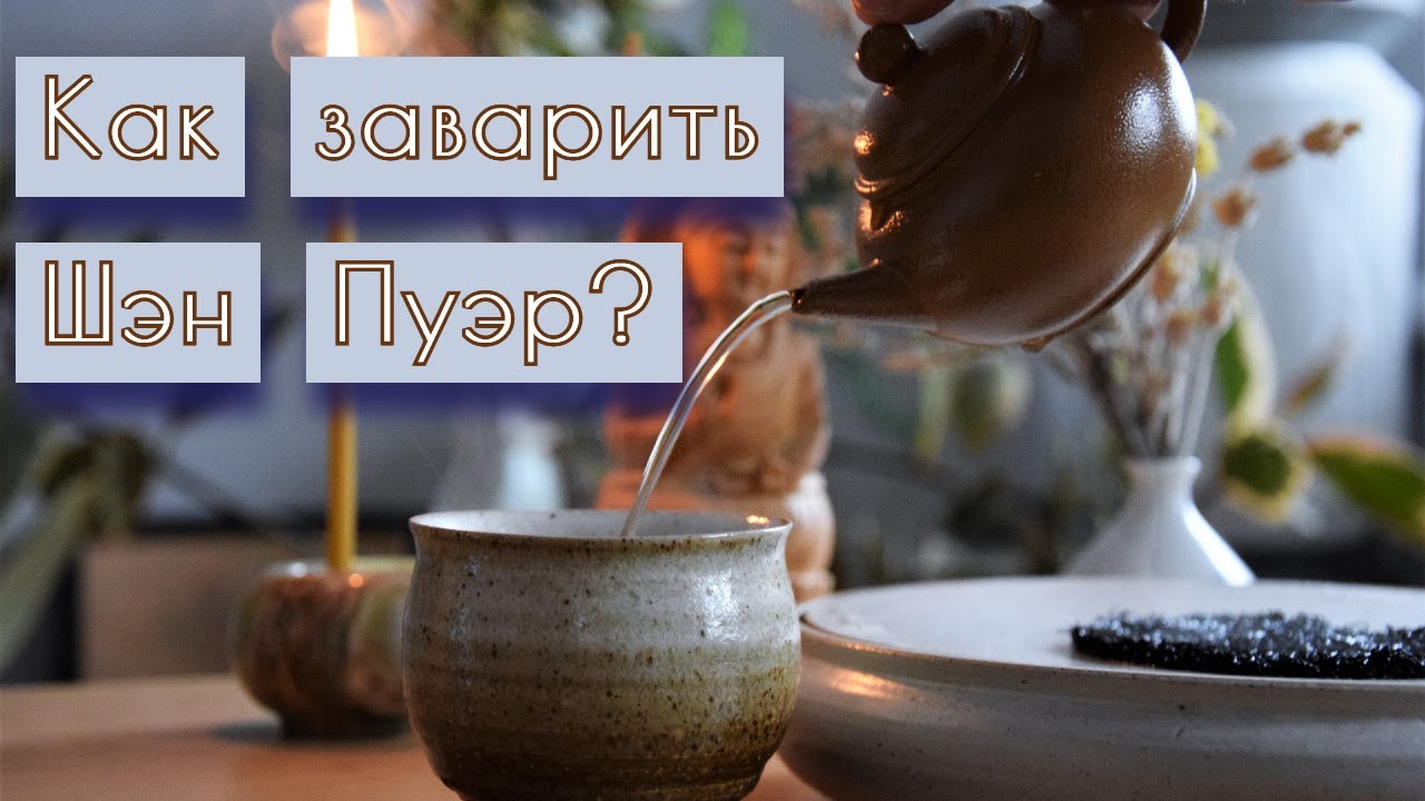 Как заварить шэн пуэр вкусно, про гайвань и лучший чай для изучения. Пьем шэн пуэр от Син Вэнь