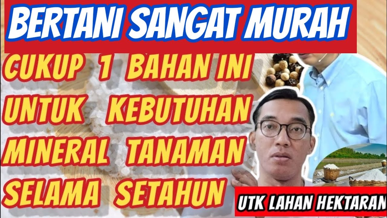 Удивительная польза крупной соли для растений на гектарах земли