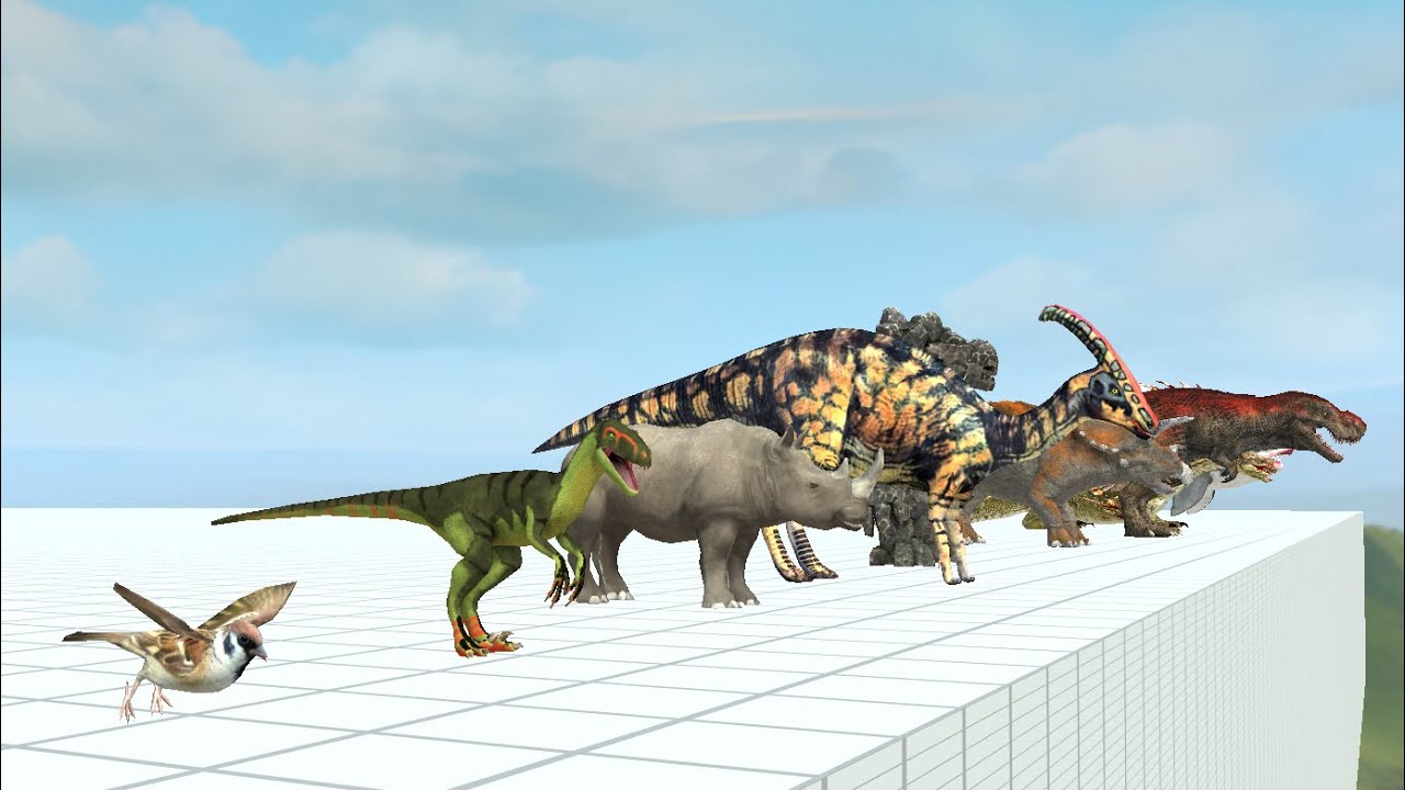 Arbs size comparison v2