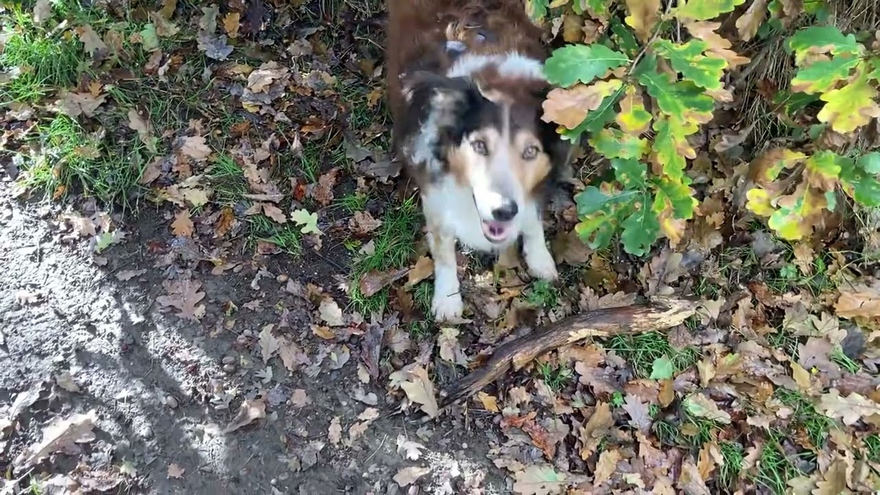 Walking with my Best friend 
