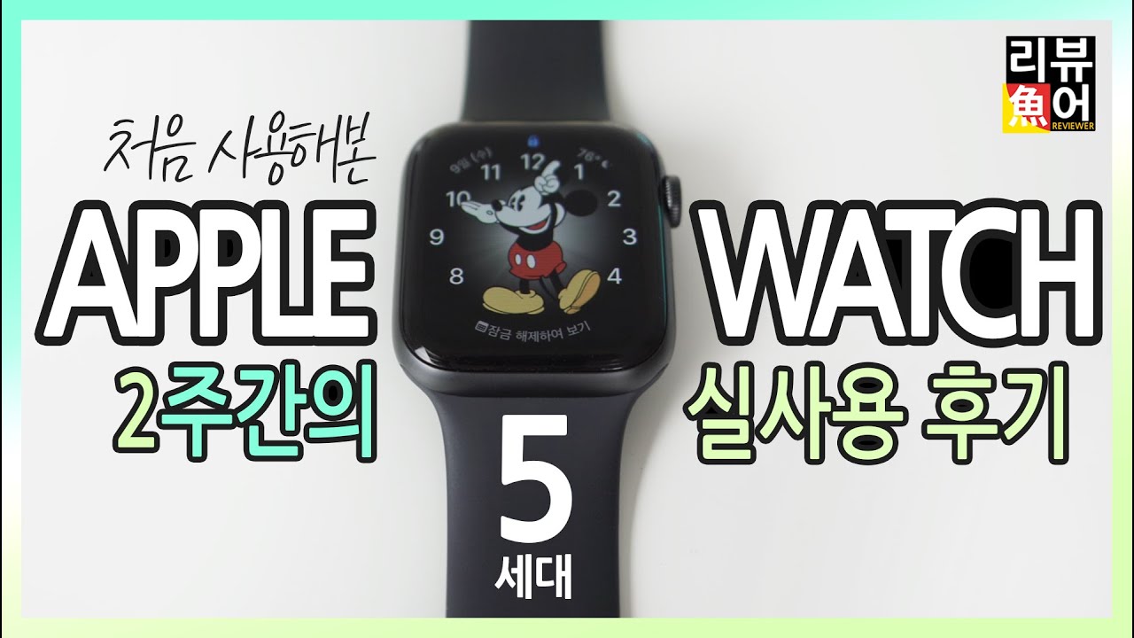 애플워치 5세대 사용기 I 2주간 사용하며 느낀 장단점과 새로운 기능 잘 사용할까요? [디셈버의 리뷰어魚] APPLE WATCH 5