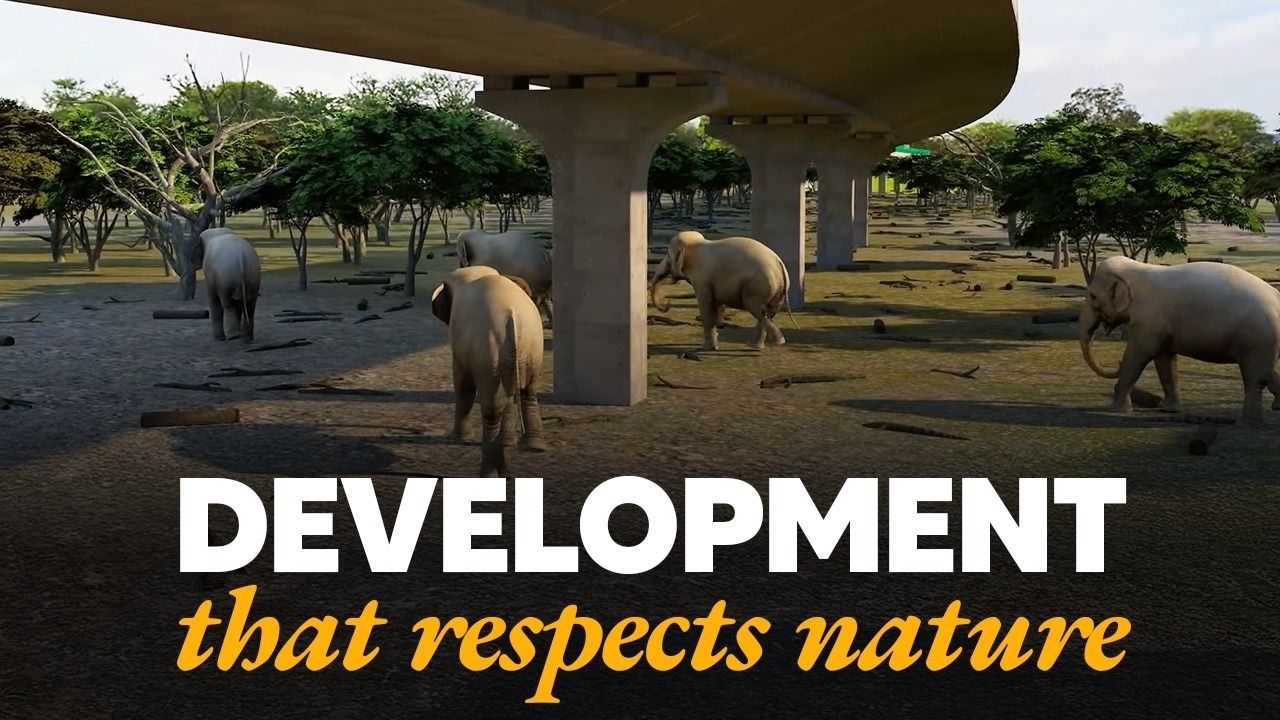 Kaziranga Elevated Corridor Project: How Assam is building India’s most wildlife-friendly highway
